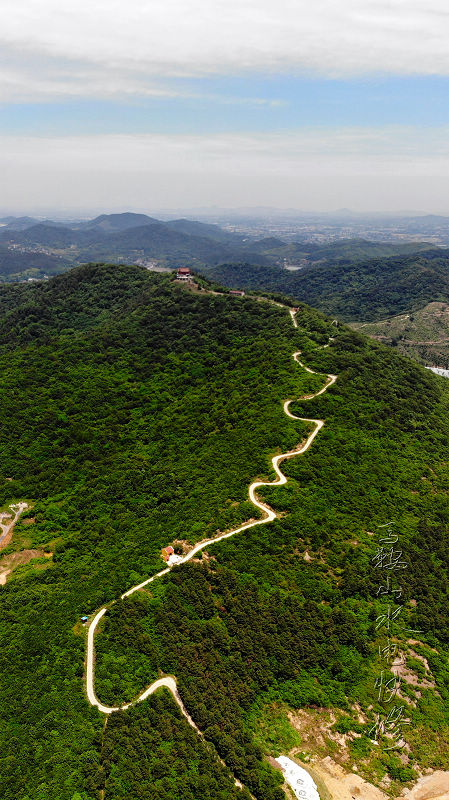马鞍山市娘娘山,园形是什么,杨梅园